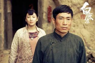 连续剧白鹿原在线观看,穿越百年风云,探寻家族兴衰之谜 第3张 连续剧白鹿原在线观看,穿越百年风云,探寻家族兴衰之谜 第3张